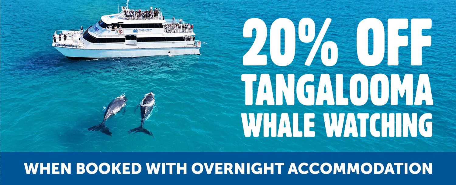 20% off Whale Watching